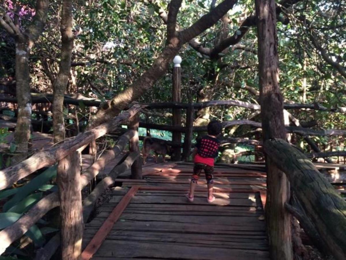 Tree Top Eco-Lodge Banlung Buitenkant foto